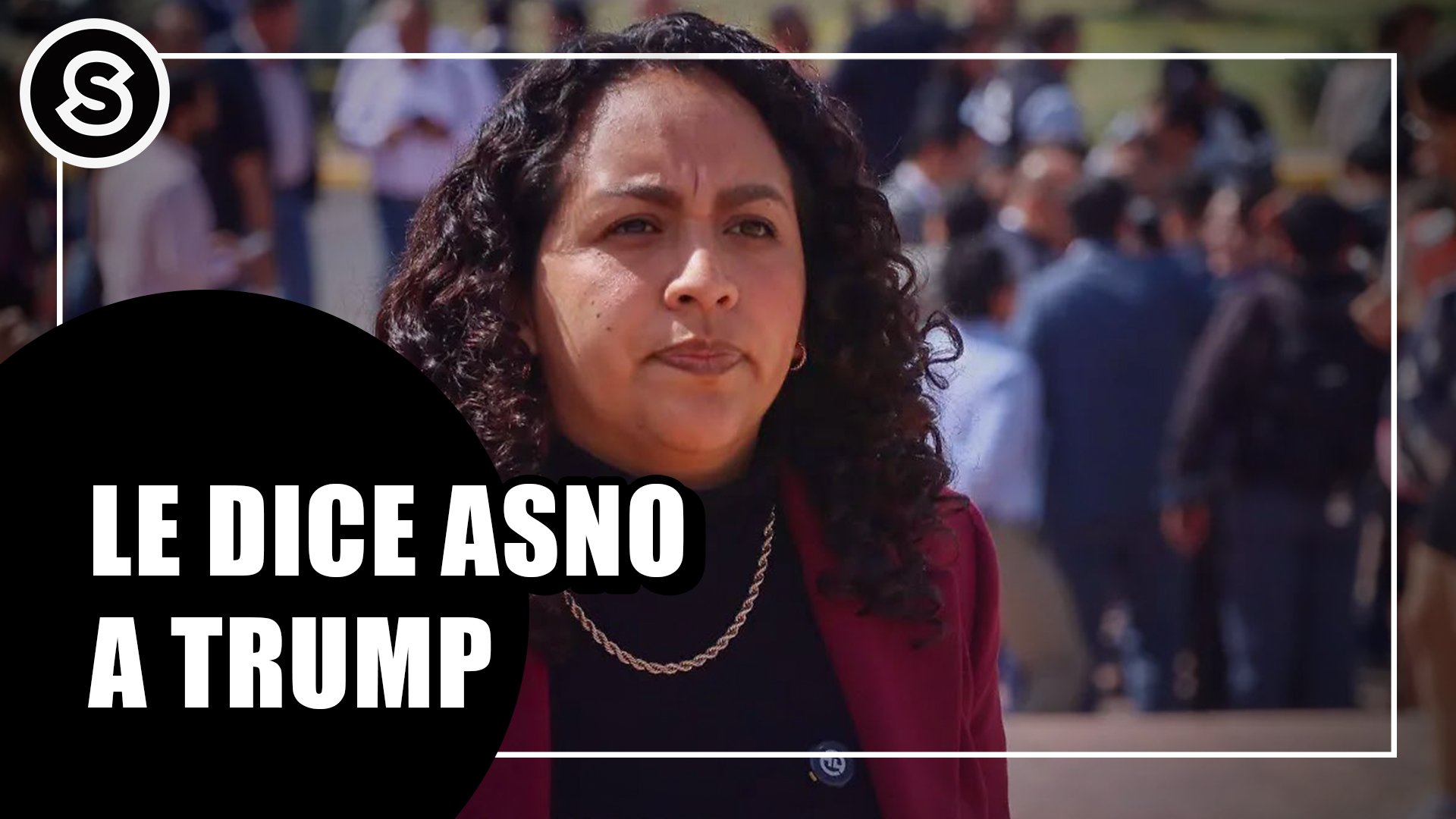 asno