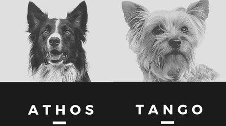 athos y tango.jpg