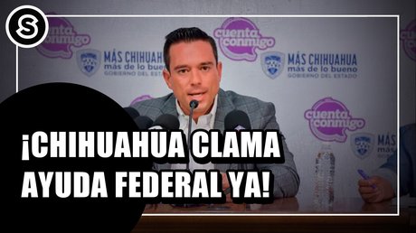 ayuda federal