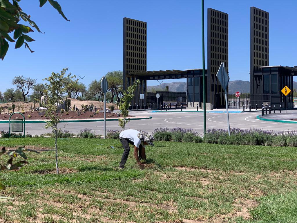 GOBIERNO DEL ESTADO AMPLÍA MEJORAS EN PARQUE “LAS CAMELIAS”
