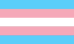 Bandera Trans.png