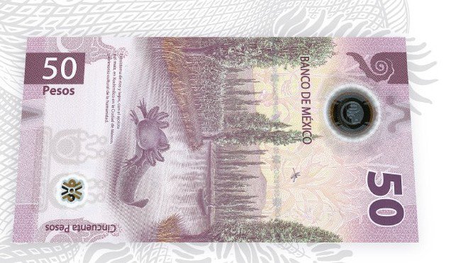 billete_50 (1).jpg