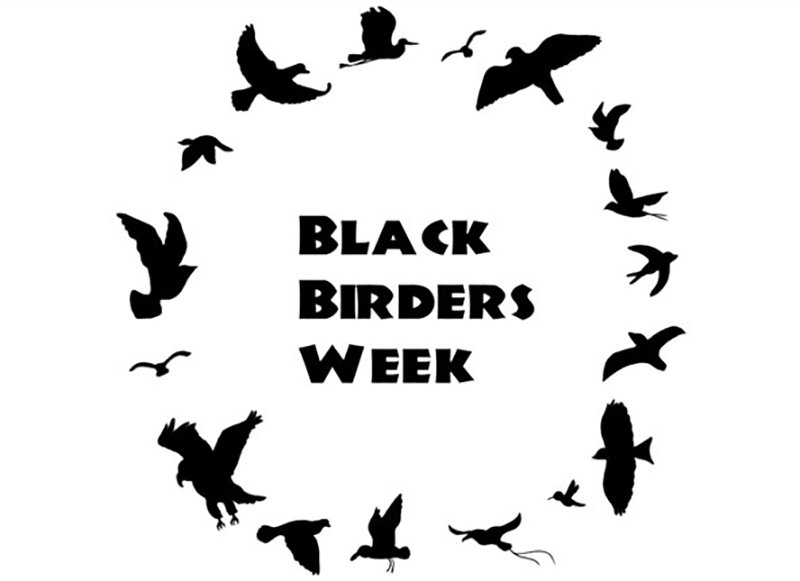 blackbirdersweek.jpg