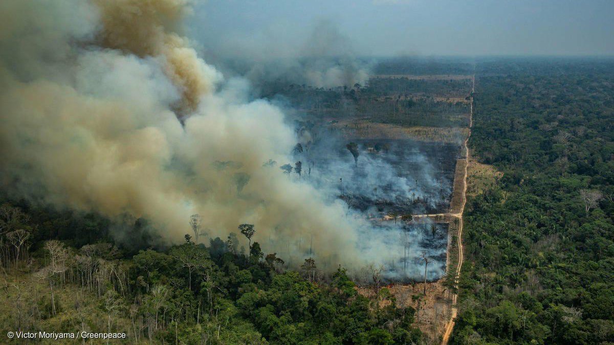 bomberos amazonas.jpg