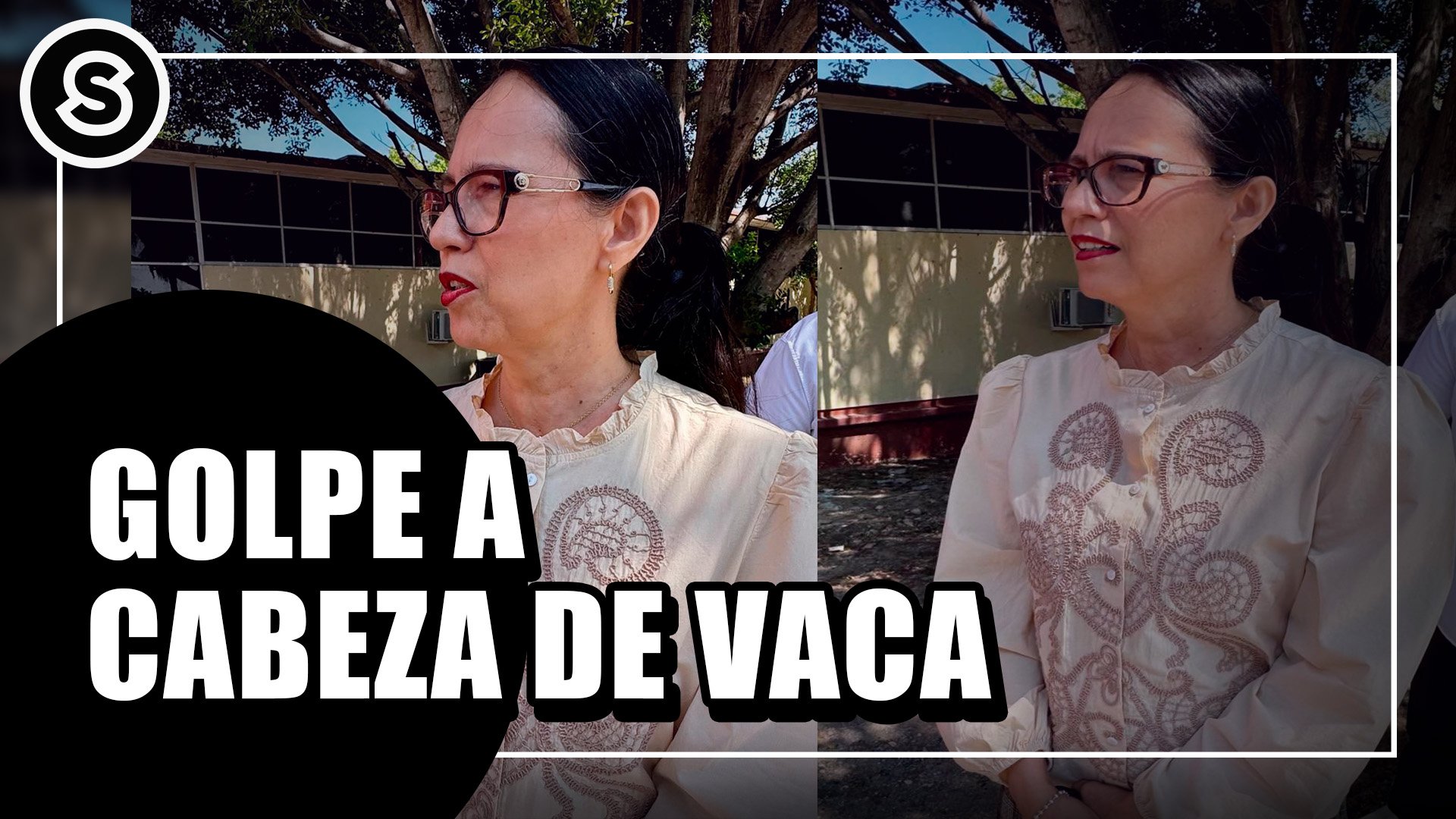 cabeza de vaca