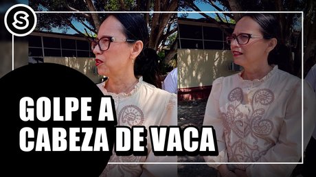 cabeza de vaca