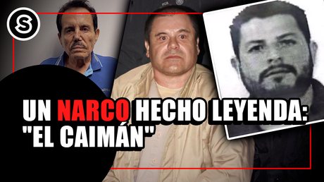 caiman mini_180225 (3)