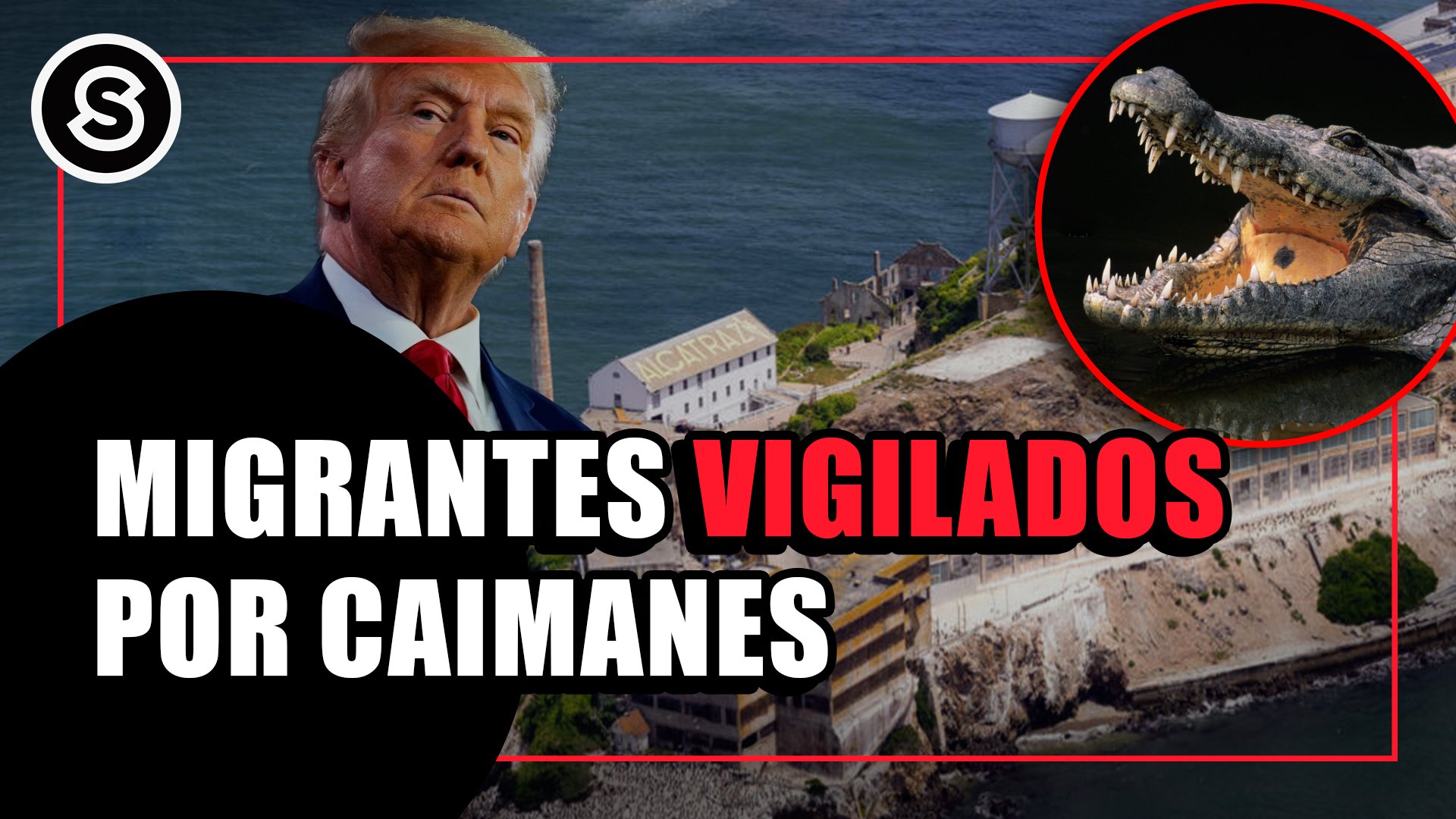caimanes