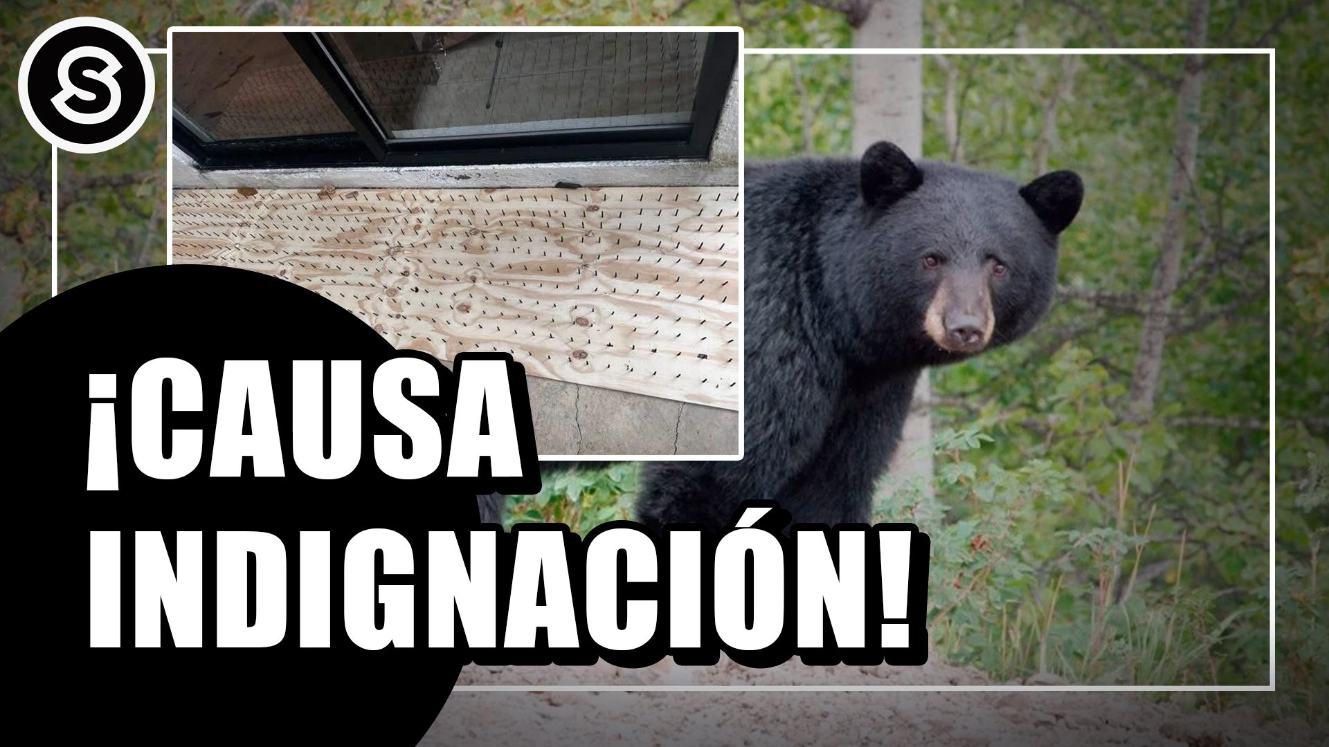 causa (1)