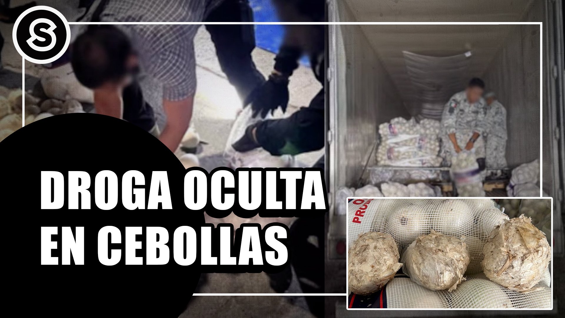 cebollas