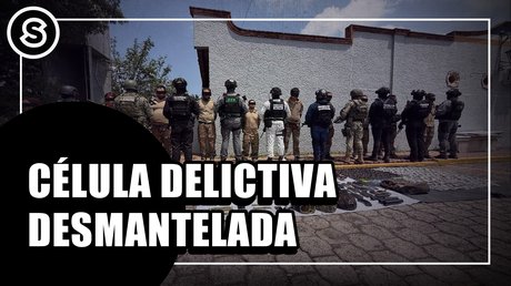 celula