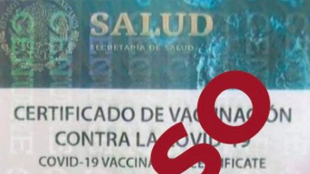 certificado de salud falso covid.jpg