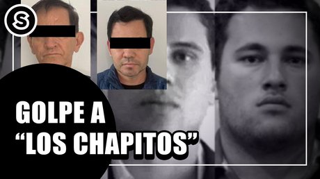 chapitos