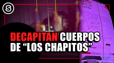 chapitos mini_300625 (1)