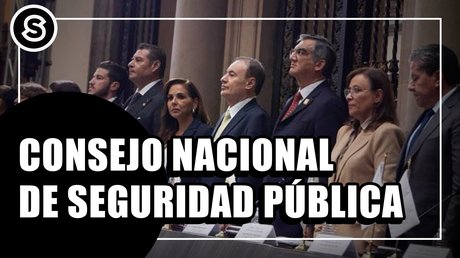 consejo