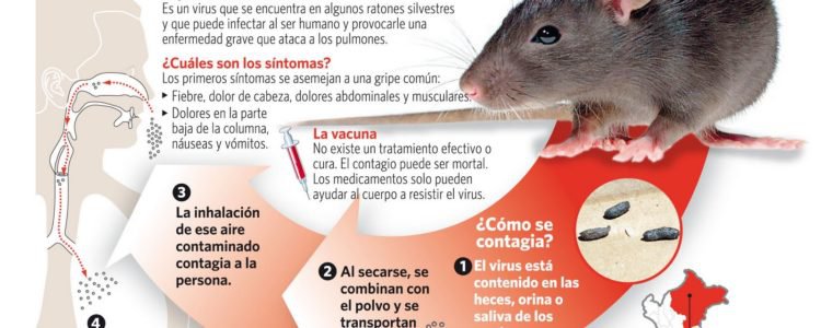 contagio-hantavirus-750x300.jpg