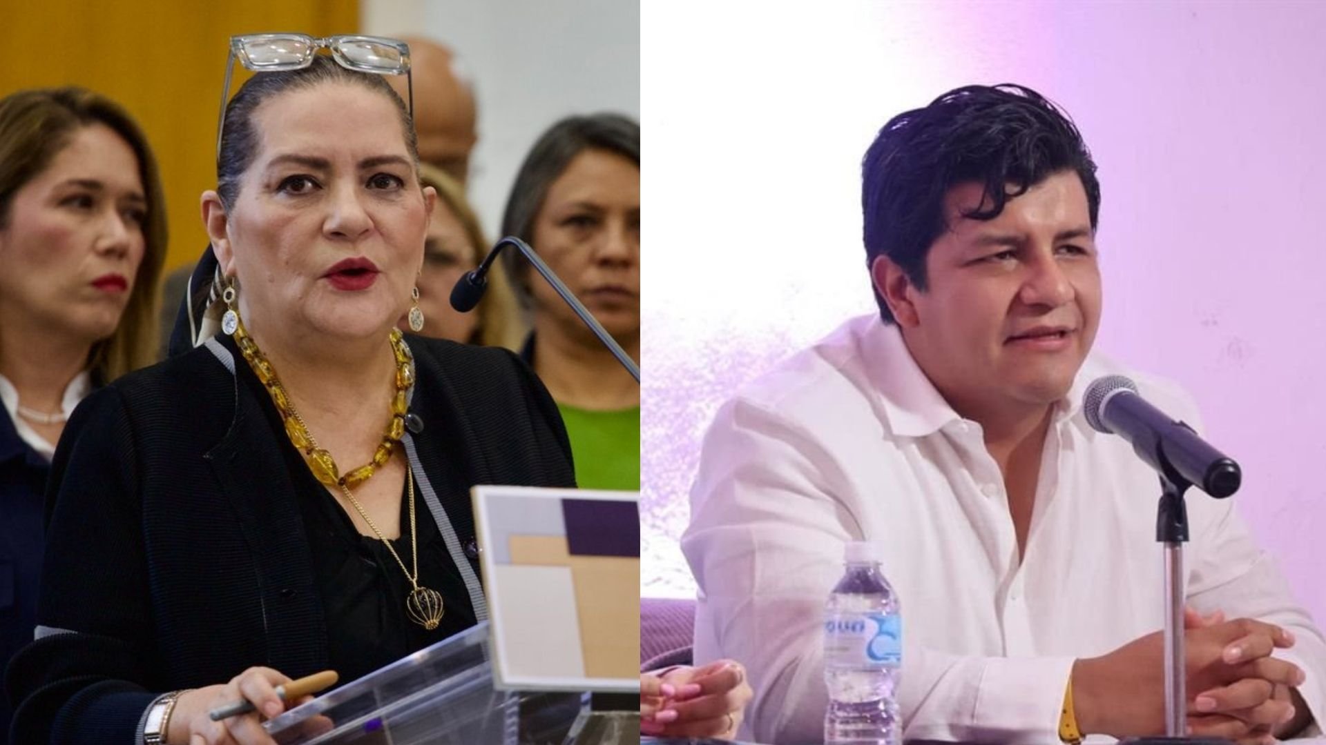 contralor_ine_investigación_guadalupe_taddei