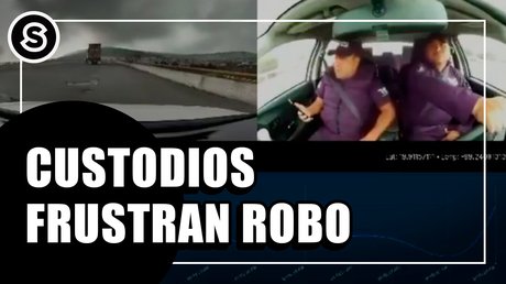 custodios