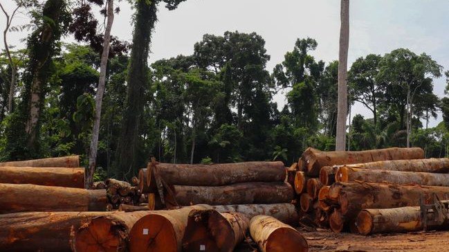 deforestacion-con-record-historico-en-la-selva-amazonica-de-brasil-crisis-ambiental-cambio-climatico-333841-1_1024.jpg