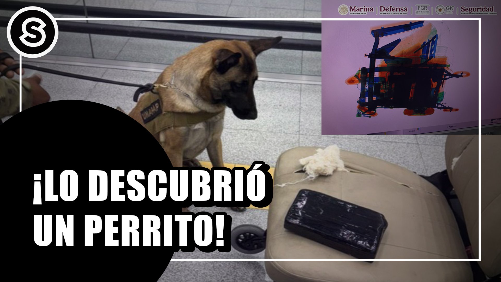 descubrio