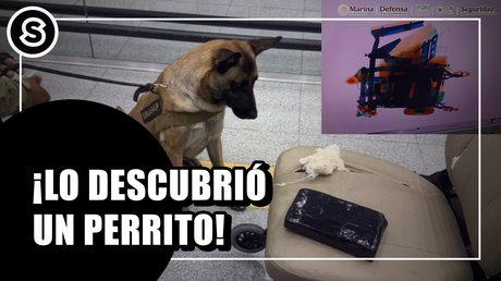 descubrio