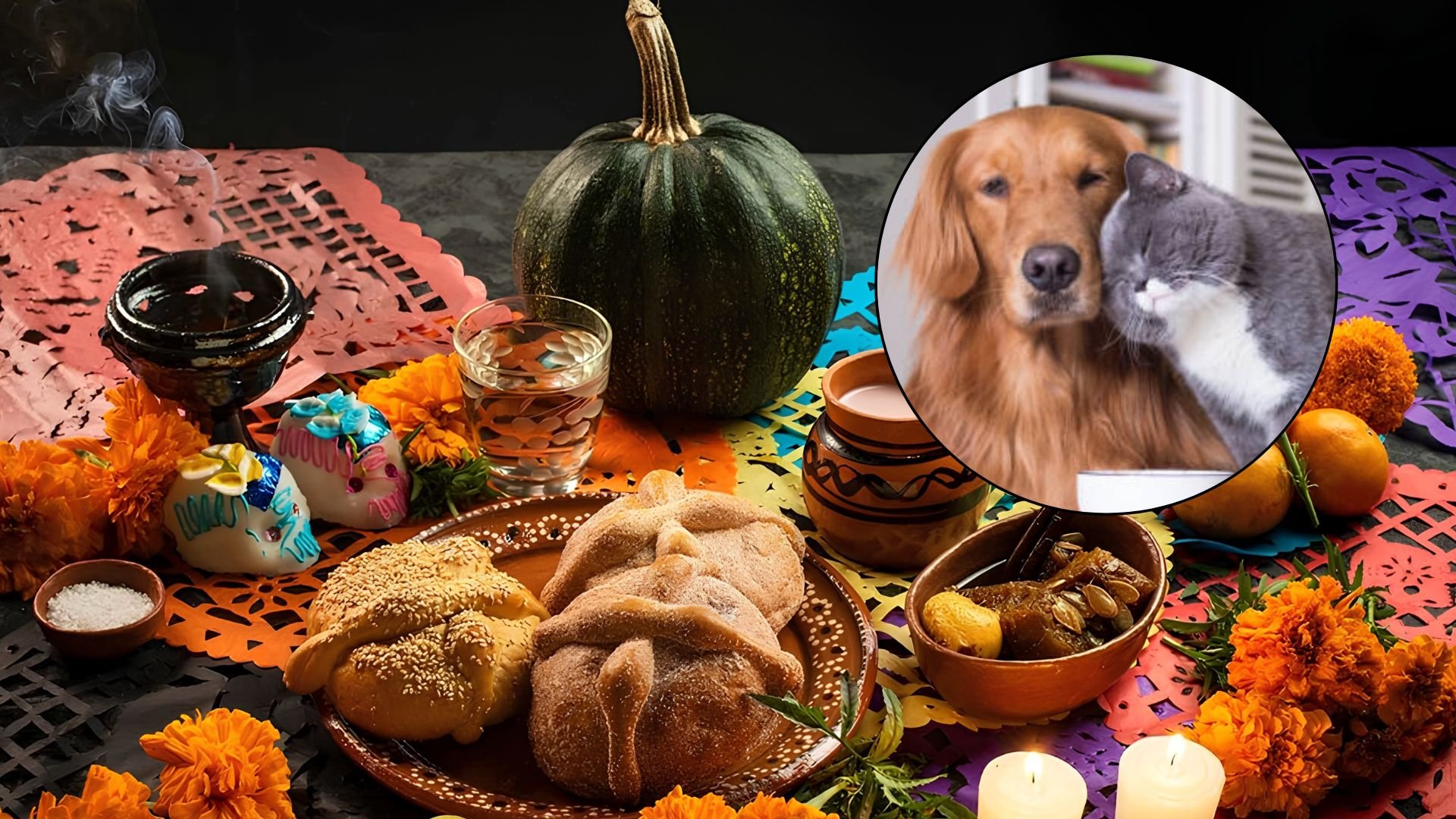 día_de_muertos_mascotas