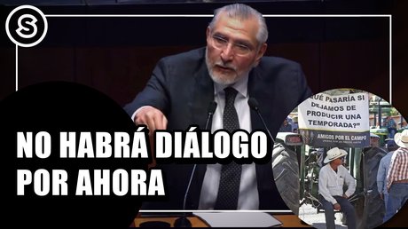 dialogo