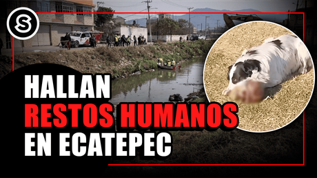 ecatepec mini_020425