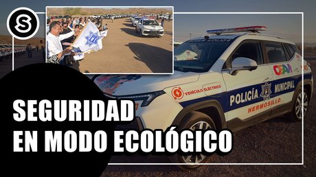 ecologicos