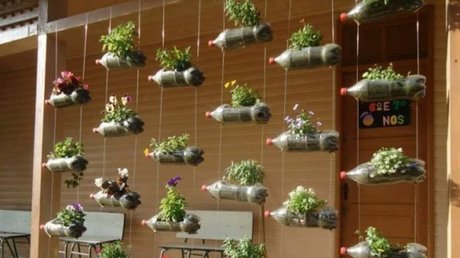 ecoportal.net_ (1).jpg