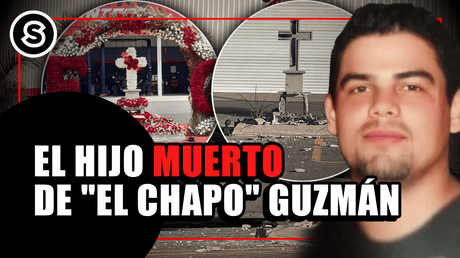 edgar mini_230125 (1)