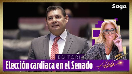 eleccion senado.jpeg