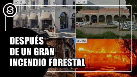 forestal
