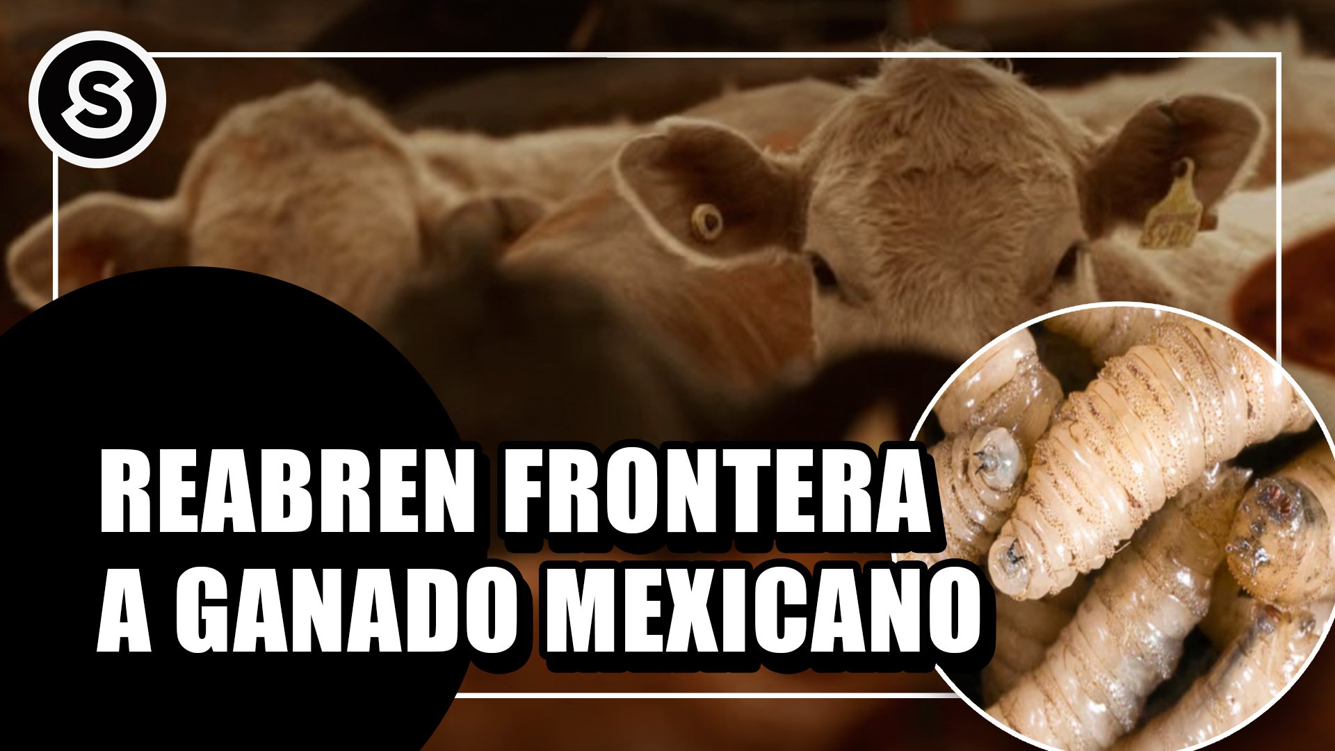 frontera