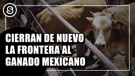 ganado