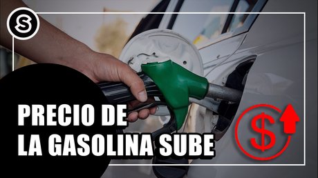 gasolina