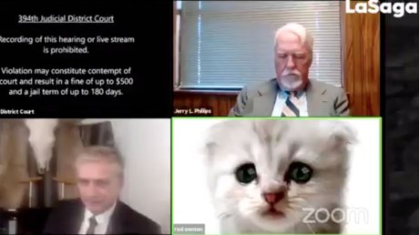 gato zoom.jpg