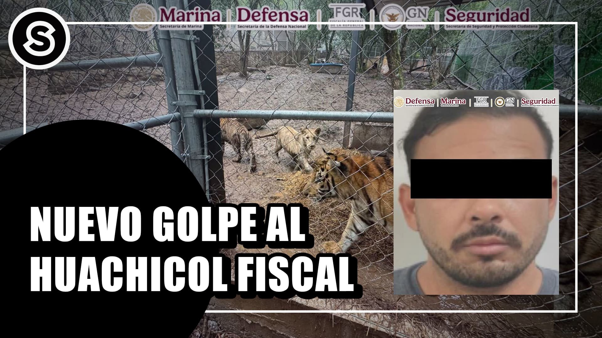golpe