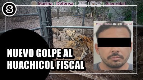 golpe