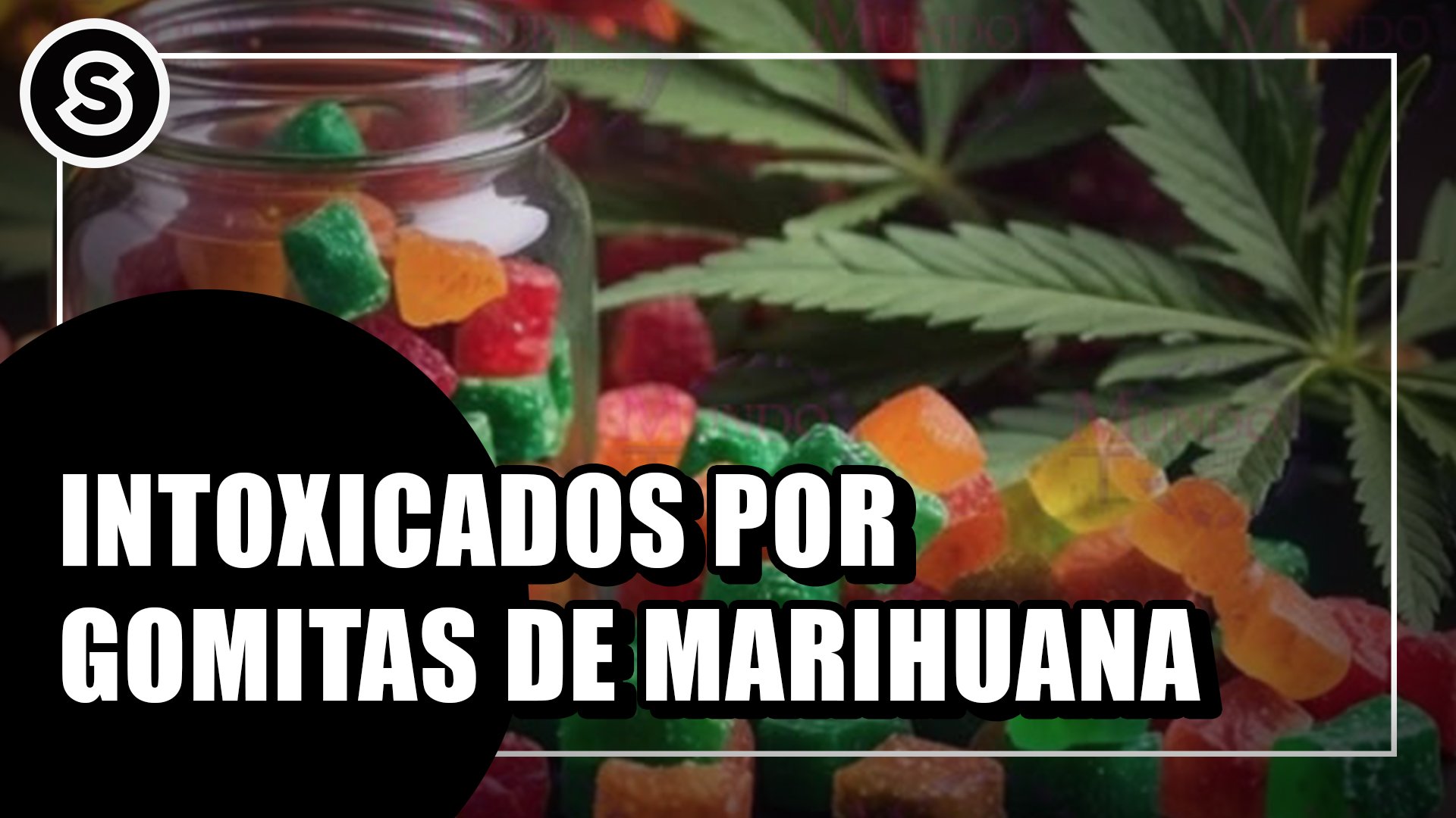 gomitas