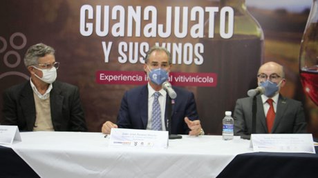 guanajuato y sus vinos.jpg