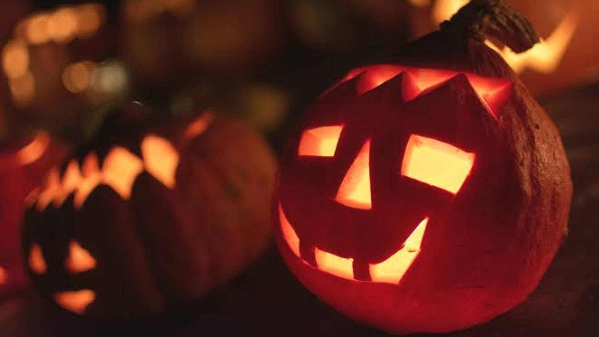halloween mexico cuando se pide calaverita en mexico