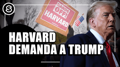 harvard mini_220425 (1)