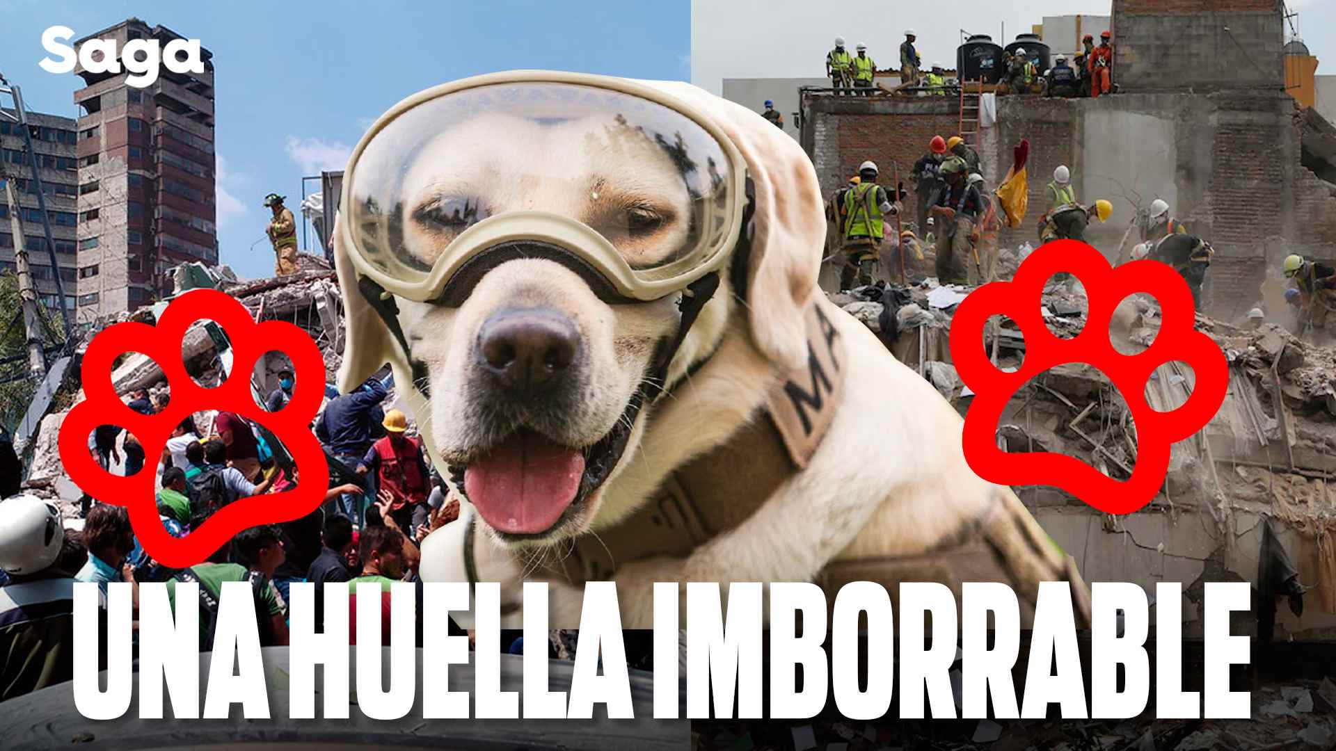 huella new.jpg