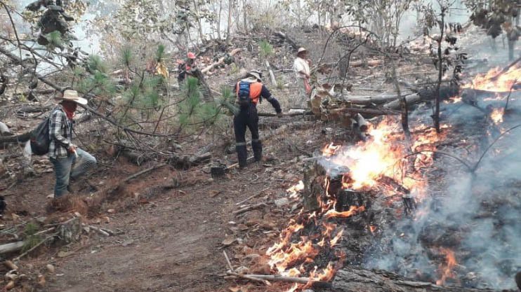 incendio guerrero.jpg