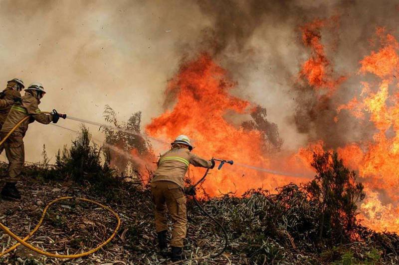 incendios-forestales-frecuentes-Estados-Unidos.jpg