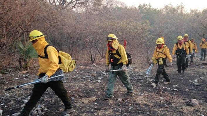 incendios conafort.jpg