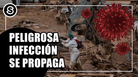 infeccion