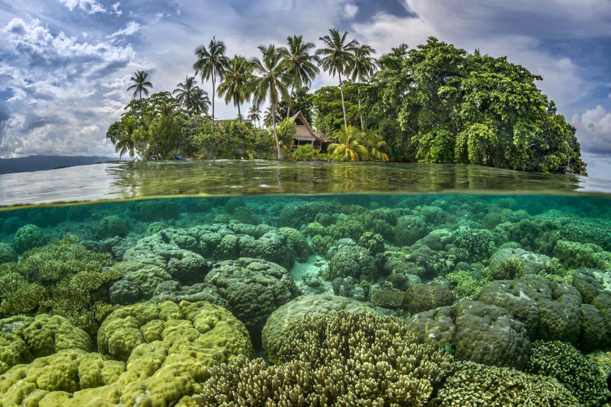 islas-salomon_portada_500pxrf_68764837_peter_pinnock500p.jpg