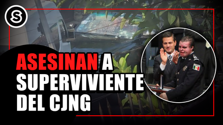 ivan mini_010525 (1)